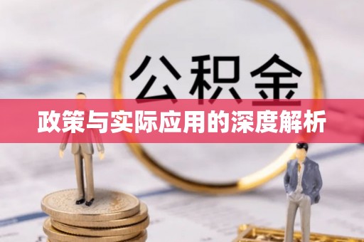 中江政策与实际应用的深度解析
