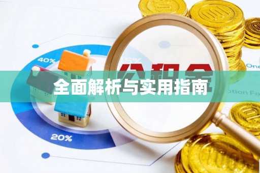 中江全面解析与实用指南